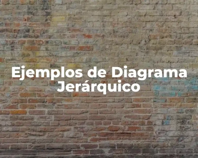 Ejemplos de Diagrama Jerárquico