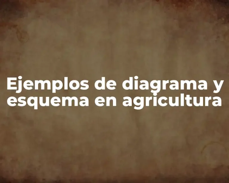 Ejemplos de diagrama y esquema en agricultura