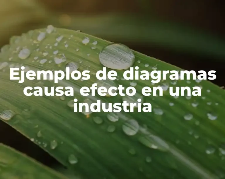 Ejemplos de diagramas causa efecto en una industria