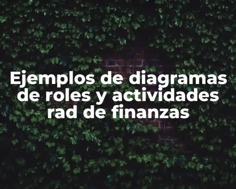 Ejemplos de diagramas de roles y actividades rad de finanzas