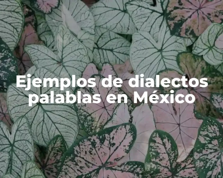 Ejemplos de dialectos palablas en México