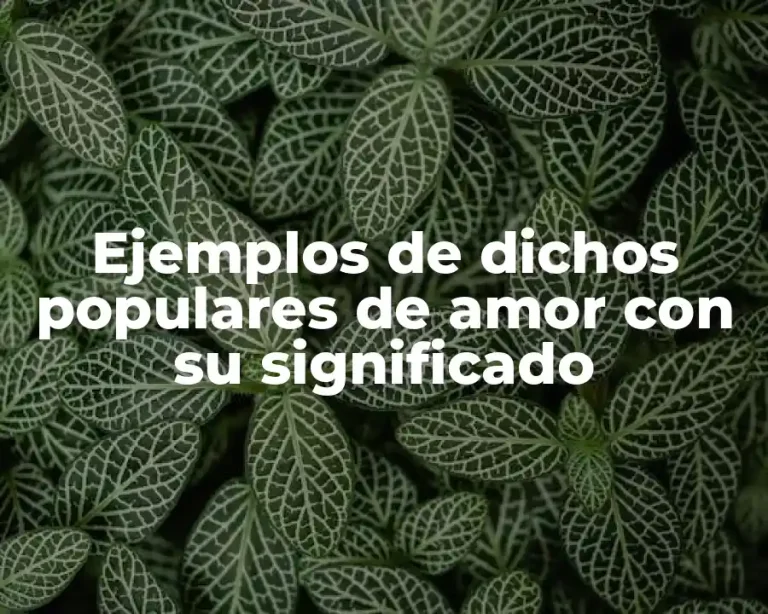 Ejemplos de dichos populares de amor con su significado