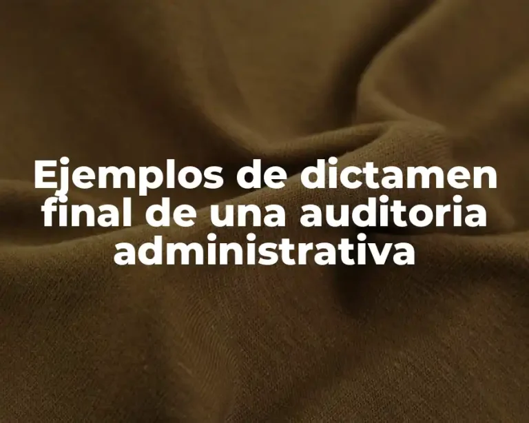 Ejemplos de dictamen final de una auditoria administrativa