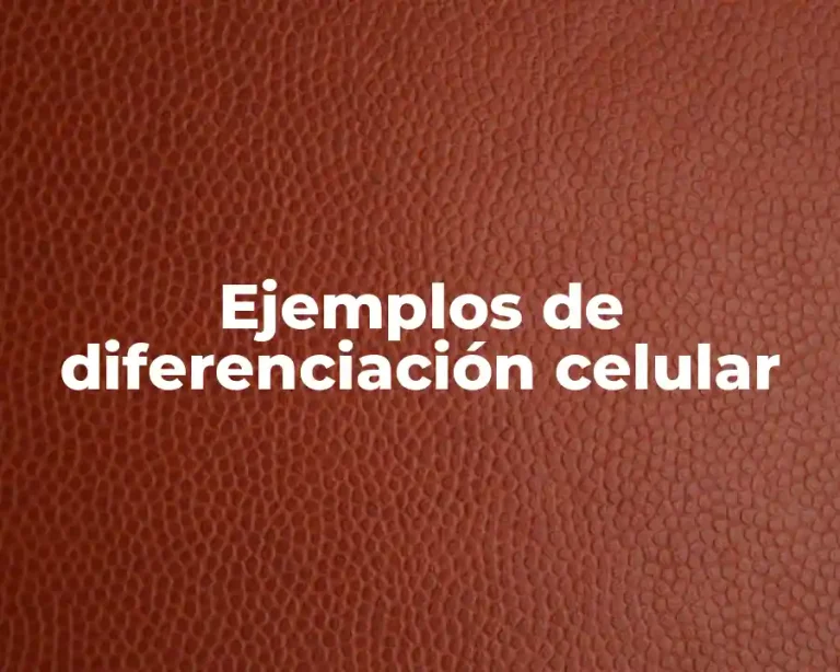 Ejemplos de diferenciación celular