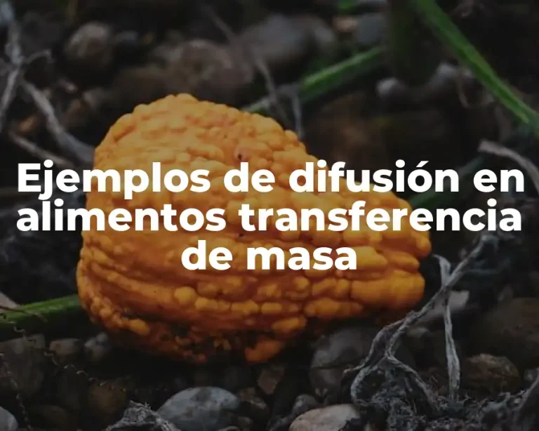 Ejemplos de difusión en alimentos transferencia de masa