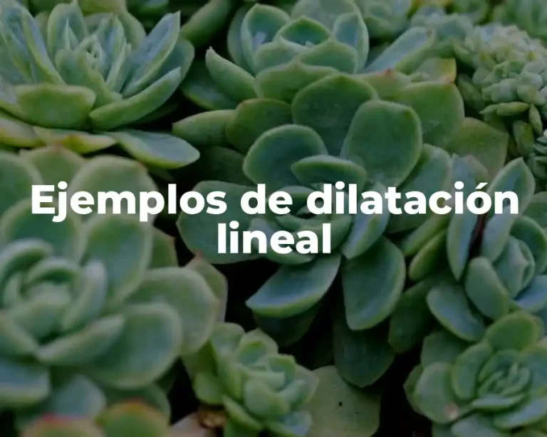 Ejemplos de dilatación lineal