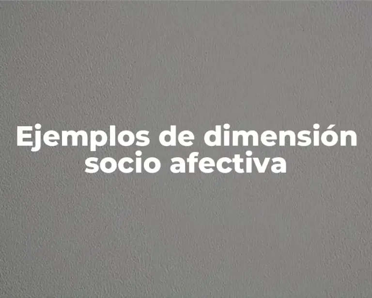 Ejemplos de dimensión socio afectiva