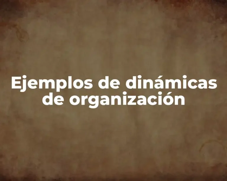 Ejemplos de dinámicas de organización