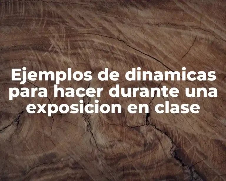 Ejemplos de dinamicas para hacer durante una exposicion en clase