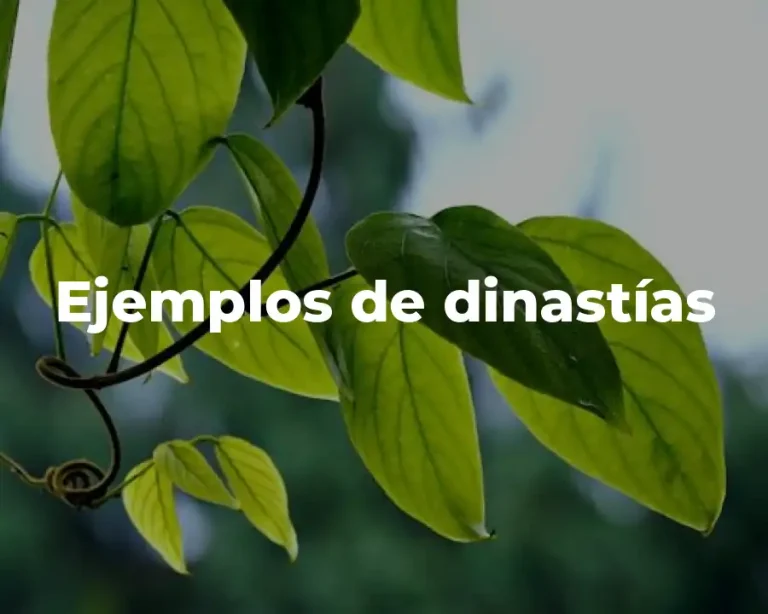 Ejemplos de dinastías