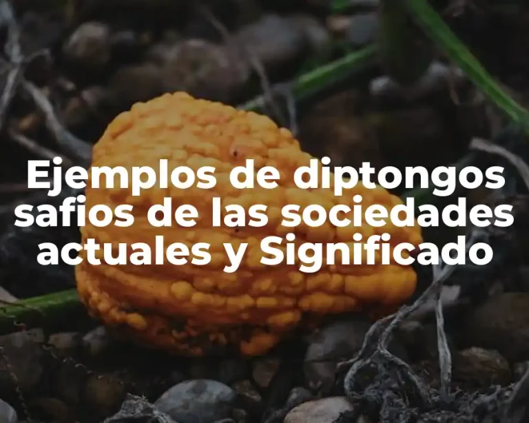 Ejemplos de diptongos safios de las sociedades actuales y Significado