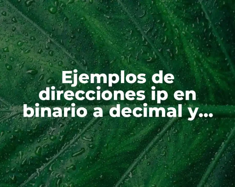 Ejemplos de direcciones ip en binario a decimal y Significado