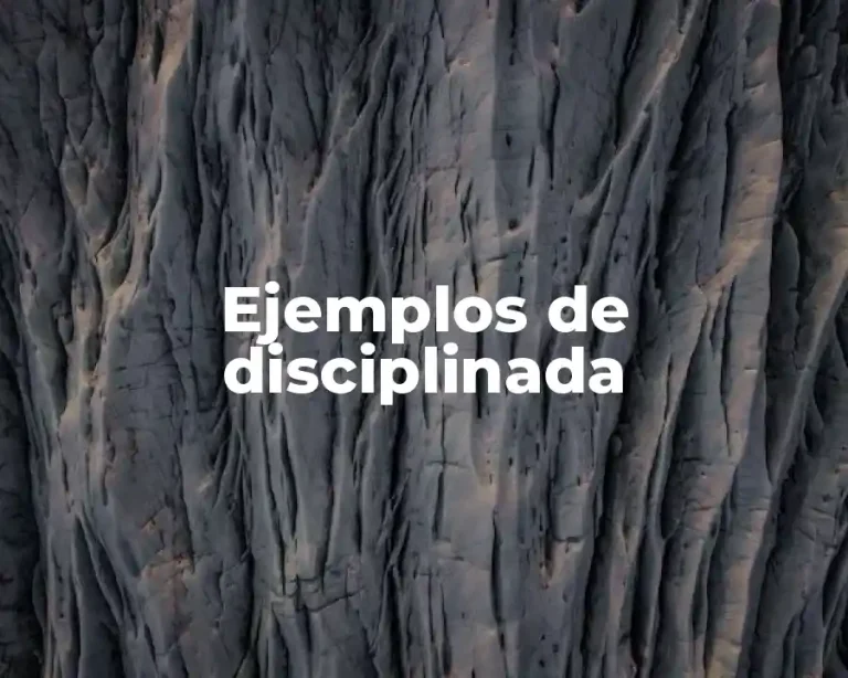 Ejemplos de disciplinada