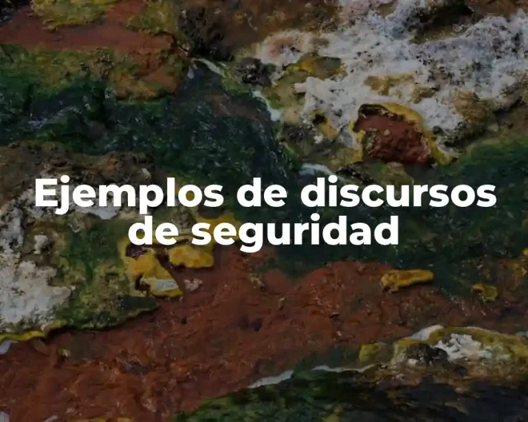 Ejemplos de discursos de seguridad