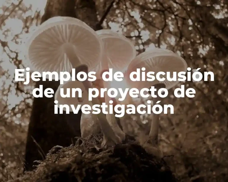 Ejemplos de discusión de un proyecto de investigación