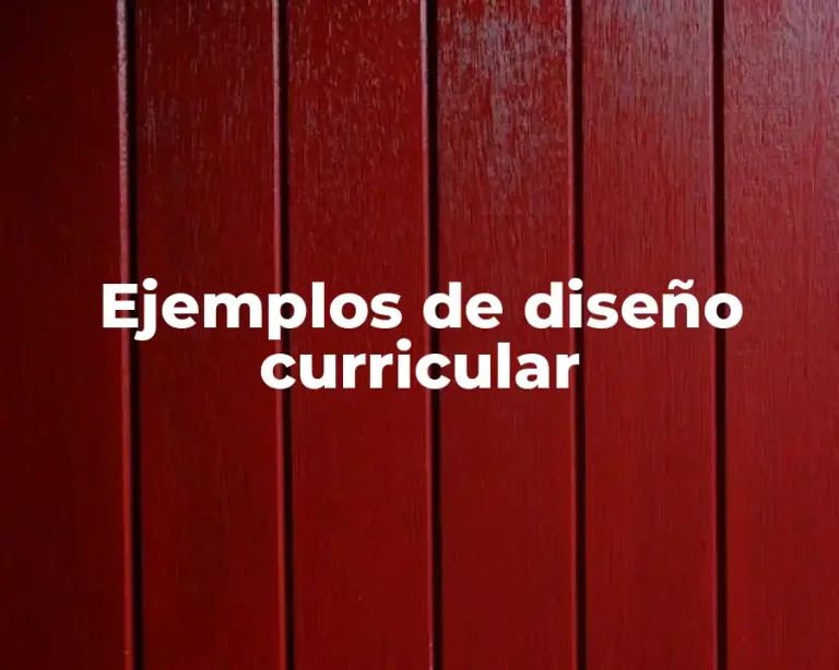 Ejemplos de diseño curricular