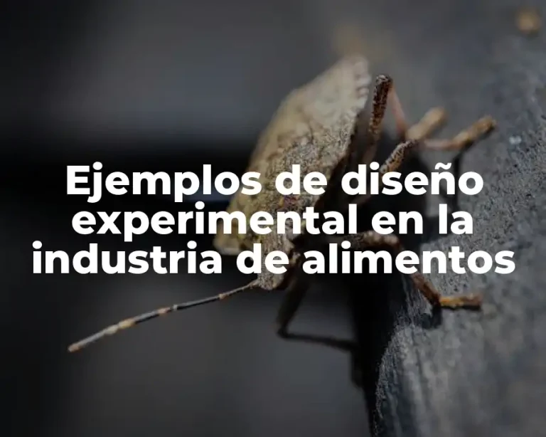 Ejemplos de diseño experimental en la industria de alimentos