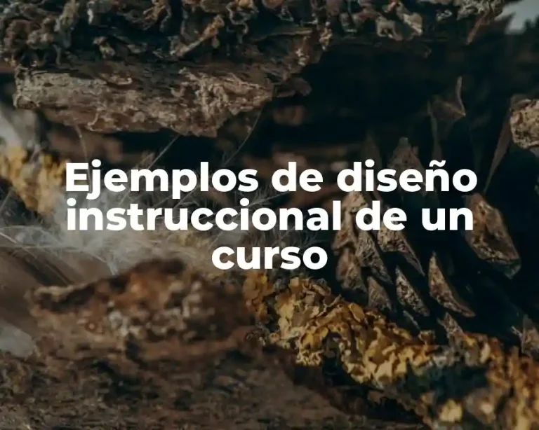 Ejemplos de diseño instruccional de un curso