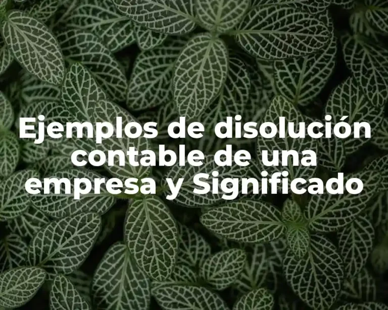 Ejemplos de disolución contable de una empresa y Significado