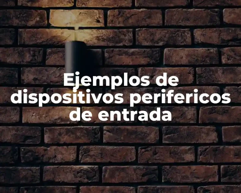 Ejemplos de dispositivos perifericos de entrada
