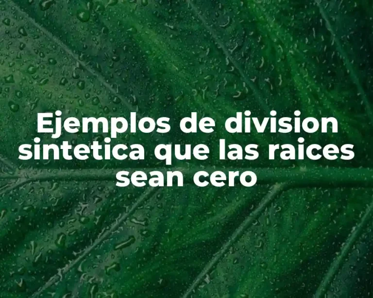 Ejemplos de division sintetica que las raices sean cero