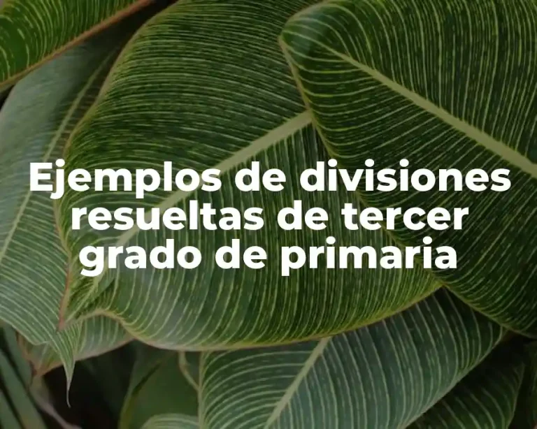 Ejemplos de divisiones resueltas de tercer grado de primaria