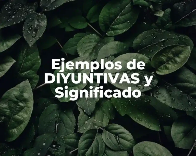 Ejemplos de DIYUNTIVAS y Significado