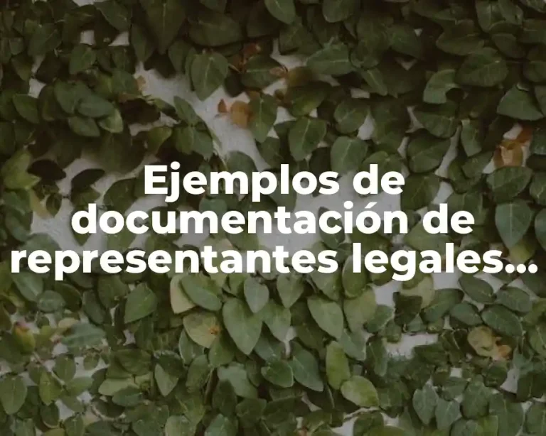 Ejemplos de documentación de representantes legales de empresas