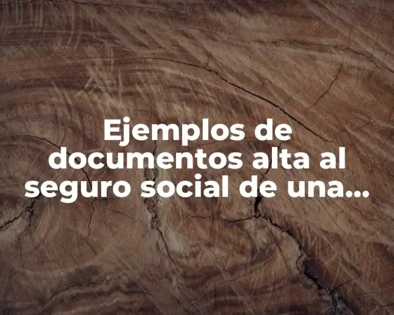 Ejemplos de documentos alta al seguro social de una empresa y Significado