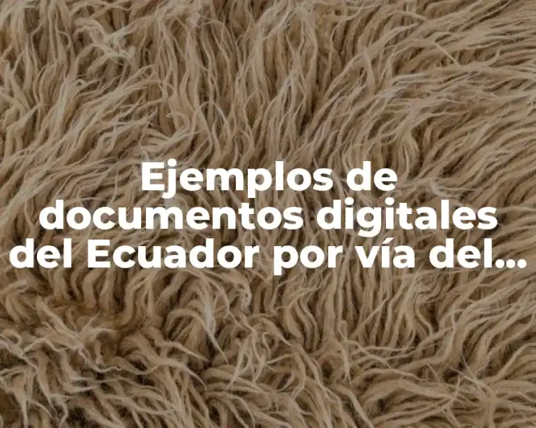 Ejemplos de documentos digitales del Ecuador por vía del ordenador