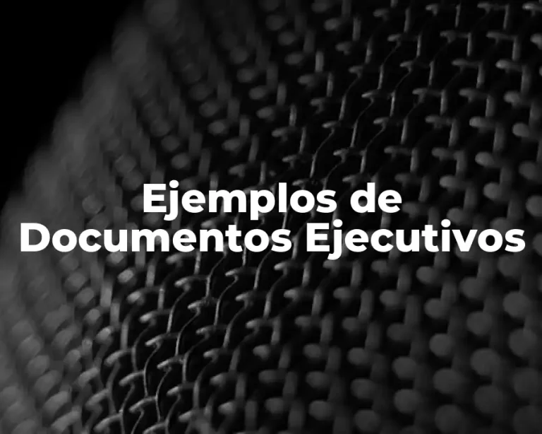 Ejemplos de Documentos Ejecutivos