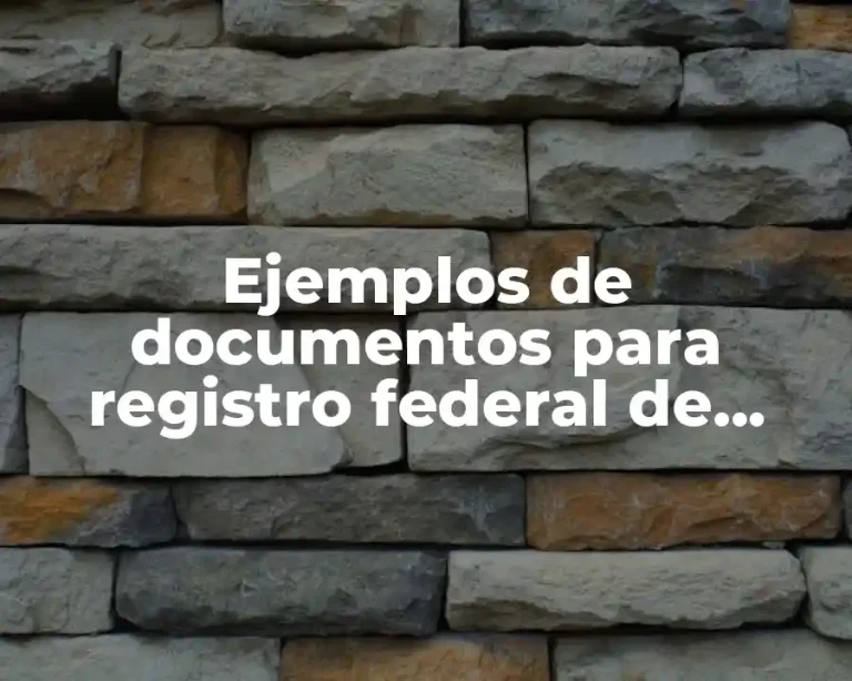Ejemplos de documentos para registro federal de contribuyentes