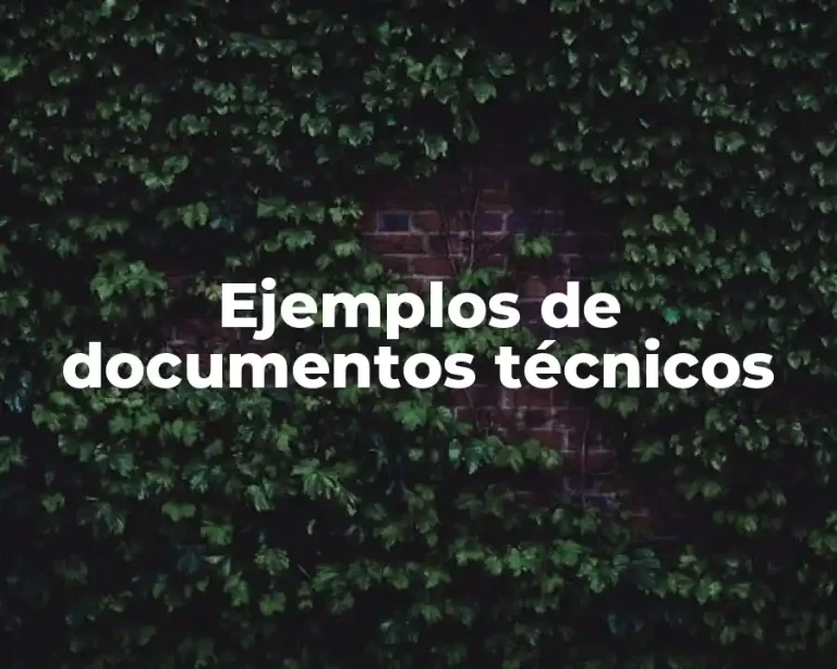 Ejemplos de documentos técnicos