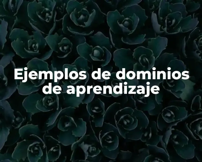 Ejemplos de dominios de aprendizaje