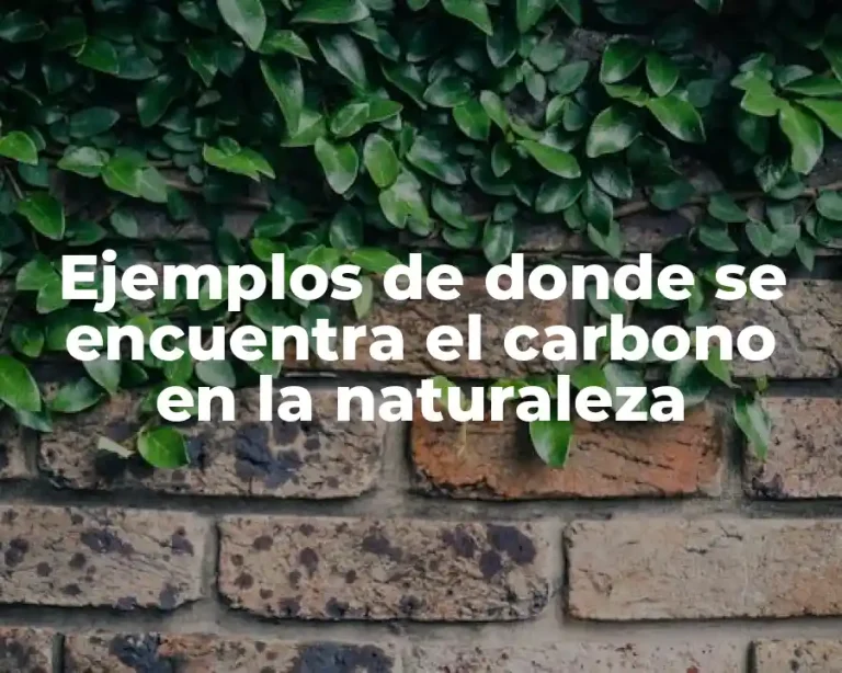 Ejemplos de donde se encuentra el carbono en la naturaleza