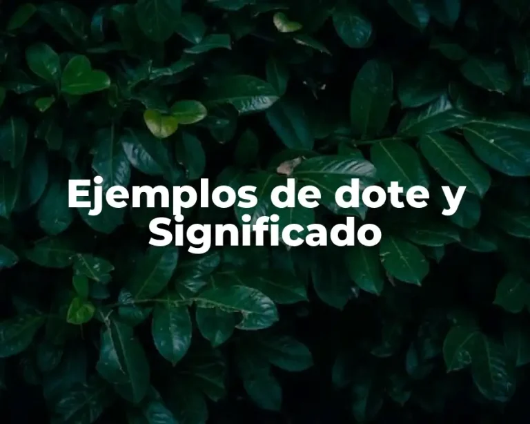 Ejemplos de dote y Significado