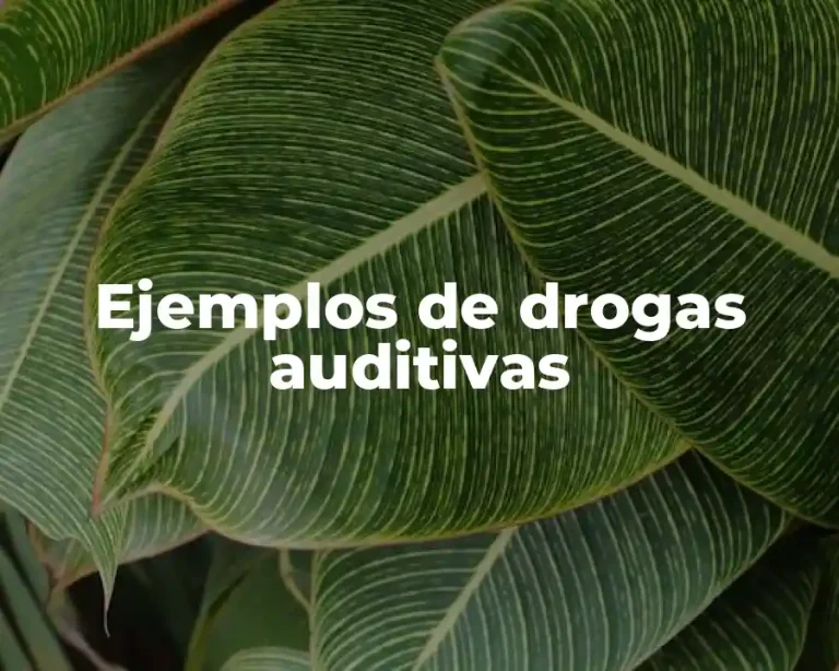 Ejemplos de drogas auditivas