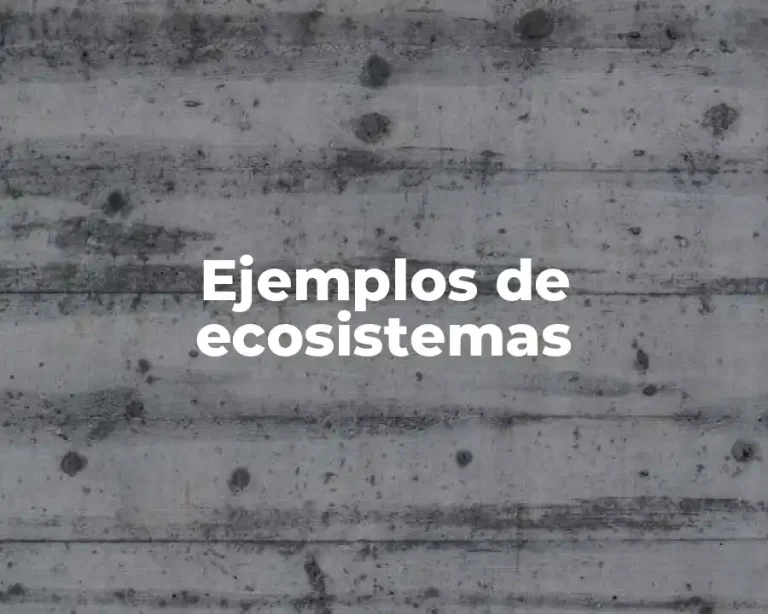 Ejemplos de ecosistemas