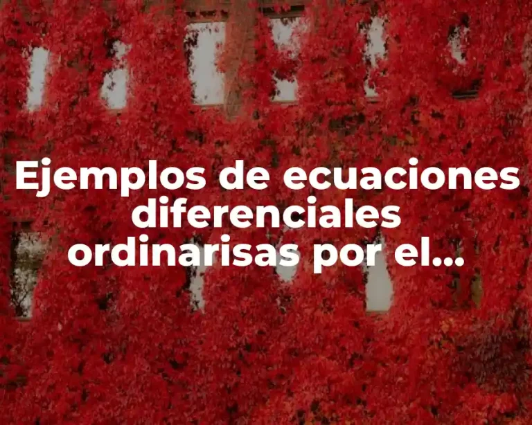 Ejemplos de ecuaciones diferenciales ordinarisas por el método de Euler