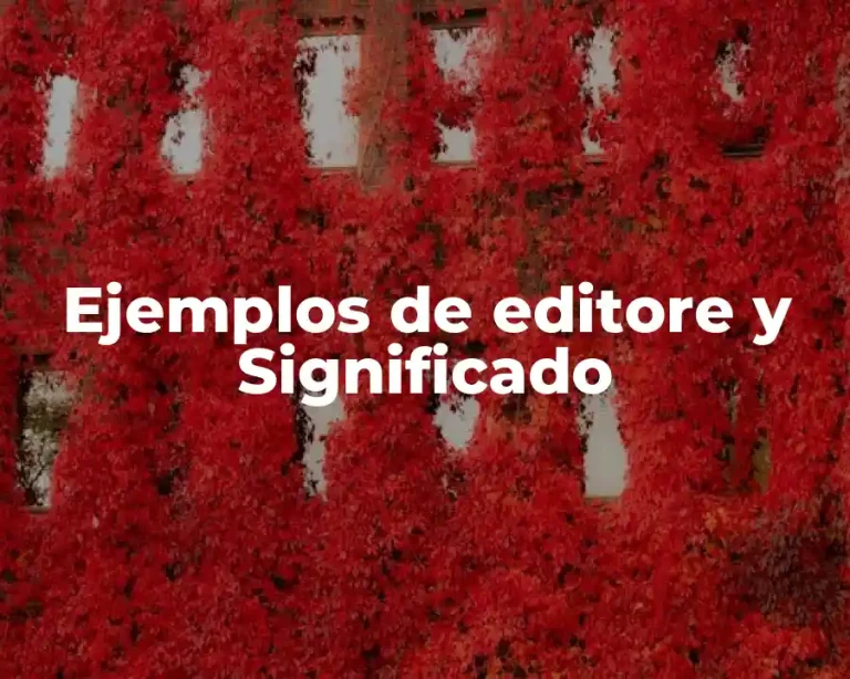 Ejemplos de editore y Significado