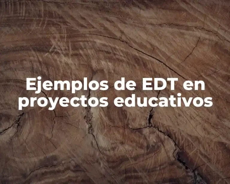 Ejemplos de EDT en proyectos educativos