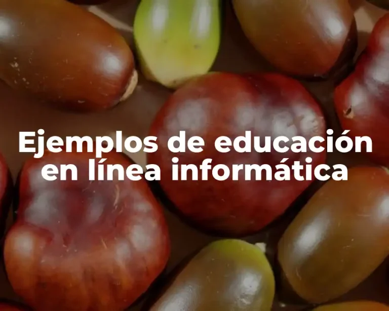 Ejemplos de educación en línea informática