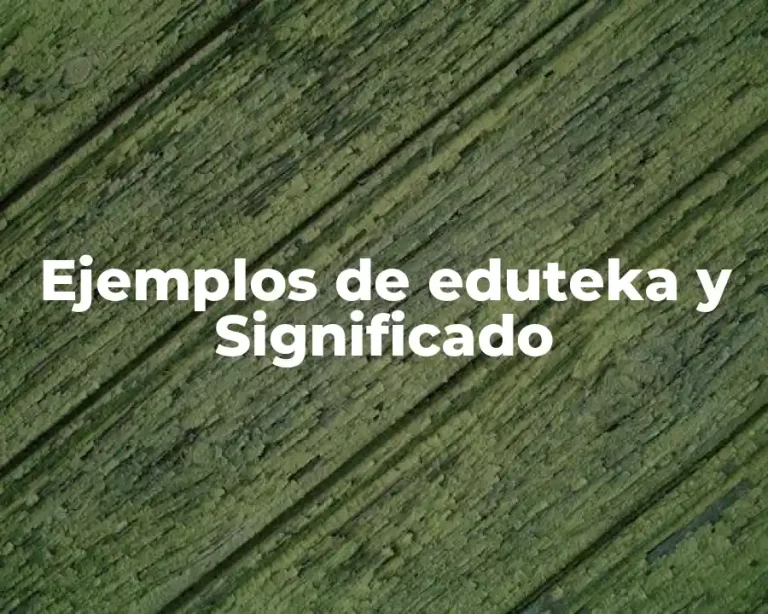 Ejemplos de eduteka y Significado