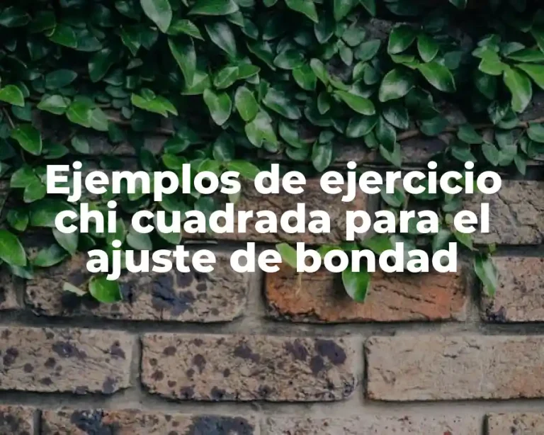 Ejemplos de ejercicio chi cuadrada para el ajuste de bondad