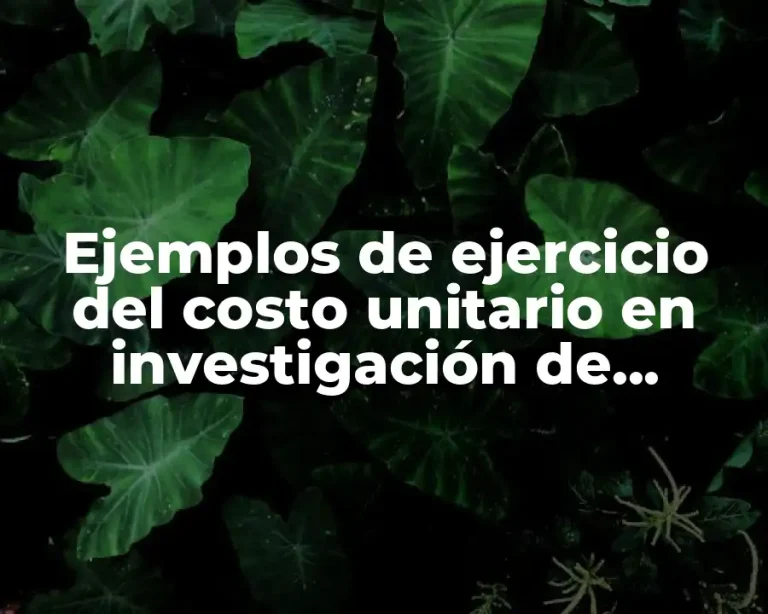 Ejemplos de ejercicio del costo unitario en investigación de operaciones