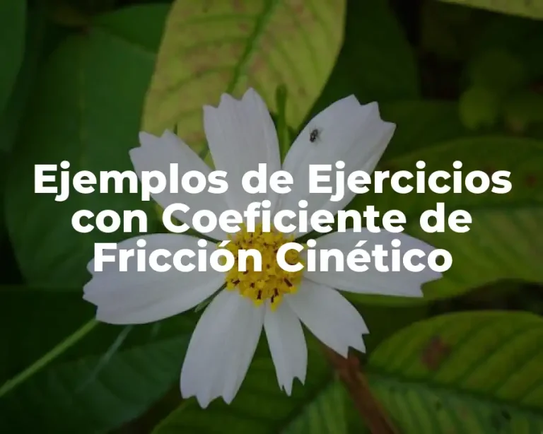 Ejemplos de Ejercicios con Coeficiente de Fricción Cinético