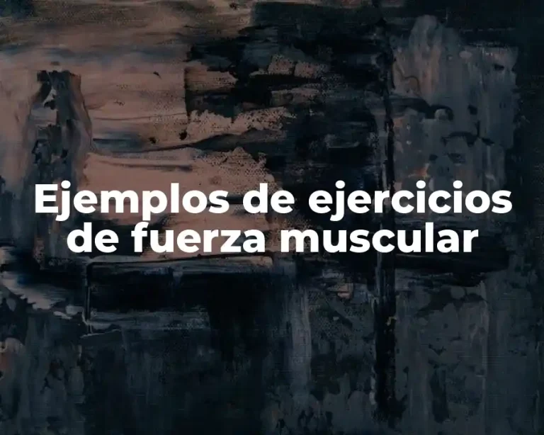 Ejemplos de ejercicios de fuerza muscular