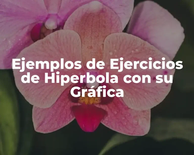 Ejemplos de Ejercicios de Hiperbola con su Gráfica