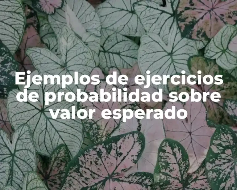 Ejemplos de ejercicios de probabilidad sobre valor esperado