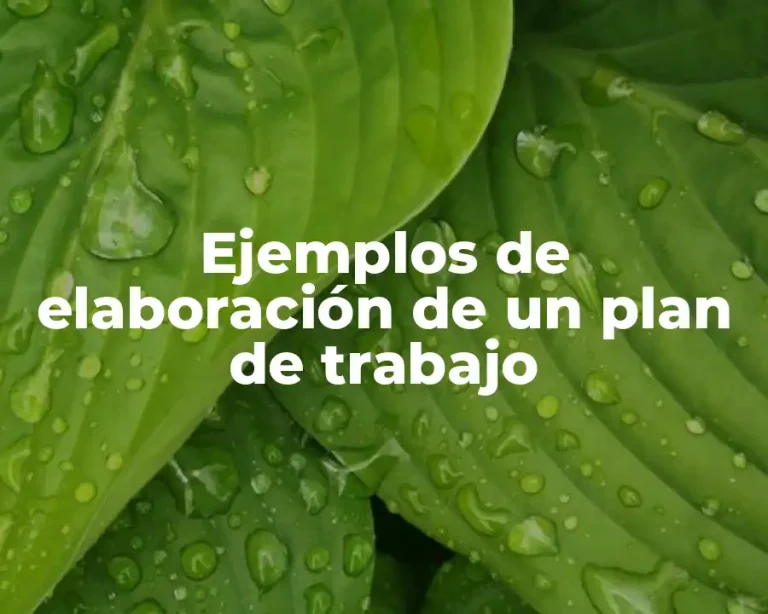Ejemplos de elaboración de un plan de trabajo